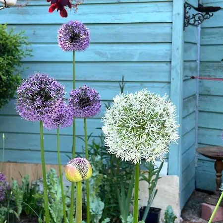 Double Bedroom With Private Toilet And Shower, Easy To Center Проживание в семье *