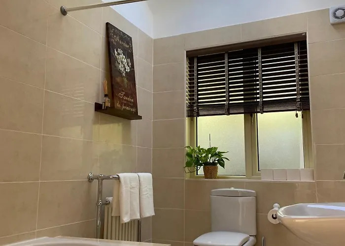 Double Bedroom With Private Toilet And Shower, Easy To Center * Dublin