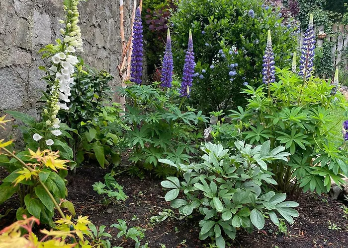 Homestay szállás Double Bedroom With Private Toilet And Shower, Easy To Center