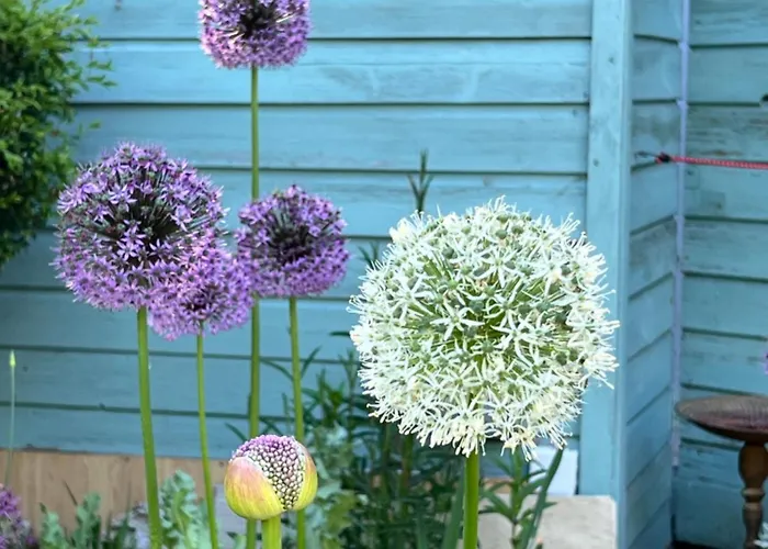 Double Bedroom With Private Toilet And Shower, Easy To Center Homestay szállás *