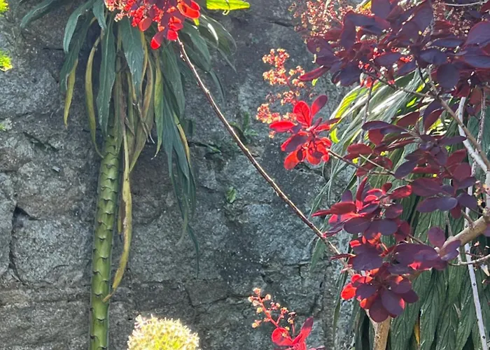 Homestay szállás Double Bedroom With Private Toilet And Shower, Easy To Center *