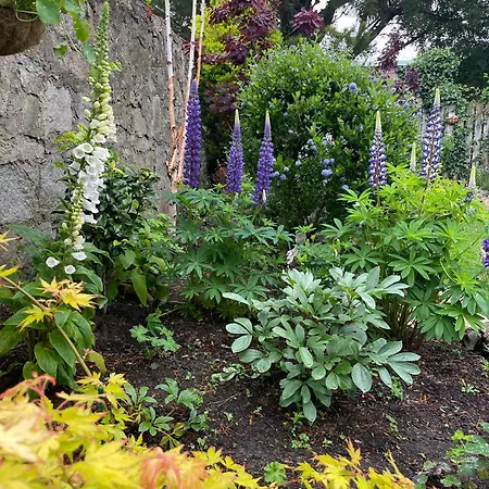 בית אירוח Double Bedroom With Private Toilet And Shower, Easy To Center