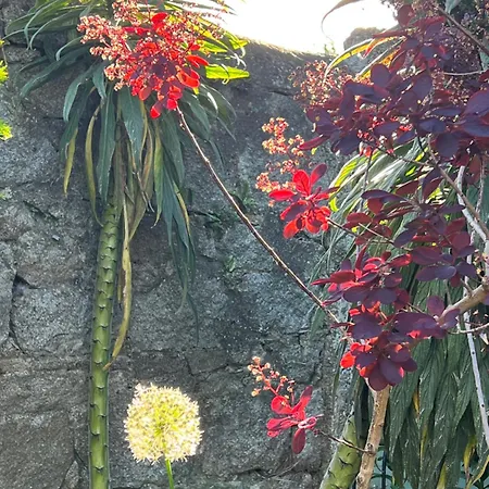 בית אירוח Double Bedroom With Private Toilet And Shower, Easy To Center *